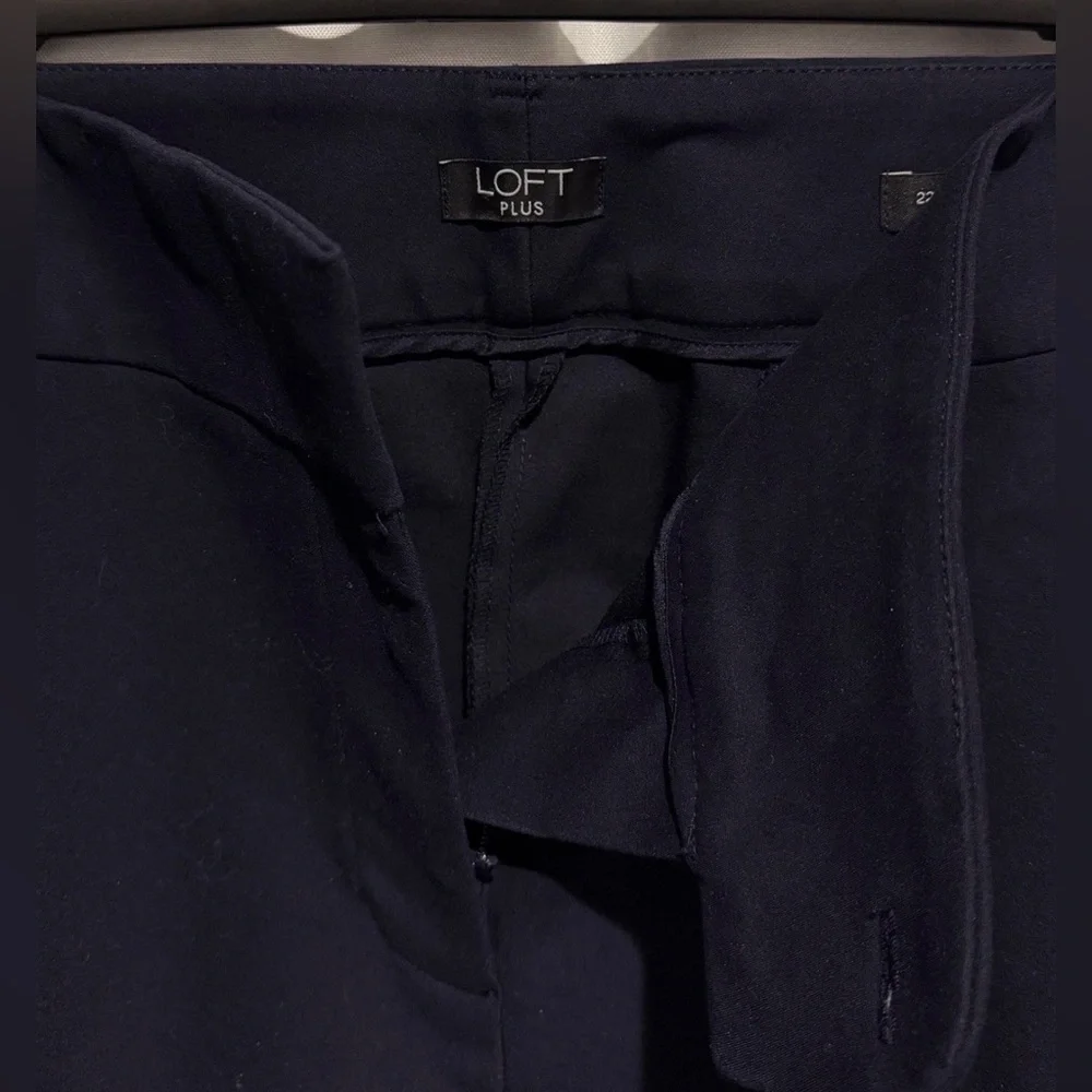 LOFT Womens Plus Size 22 Marisa Skinny Flat Front Button Zip Navy Pocket Pants - Picture 7 of 8